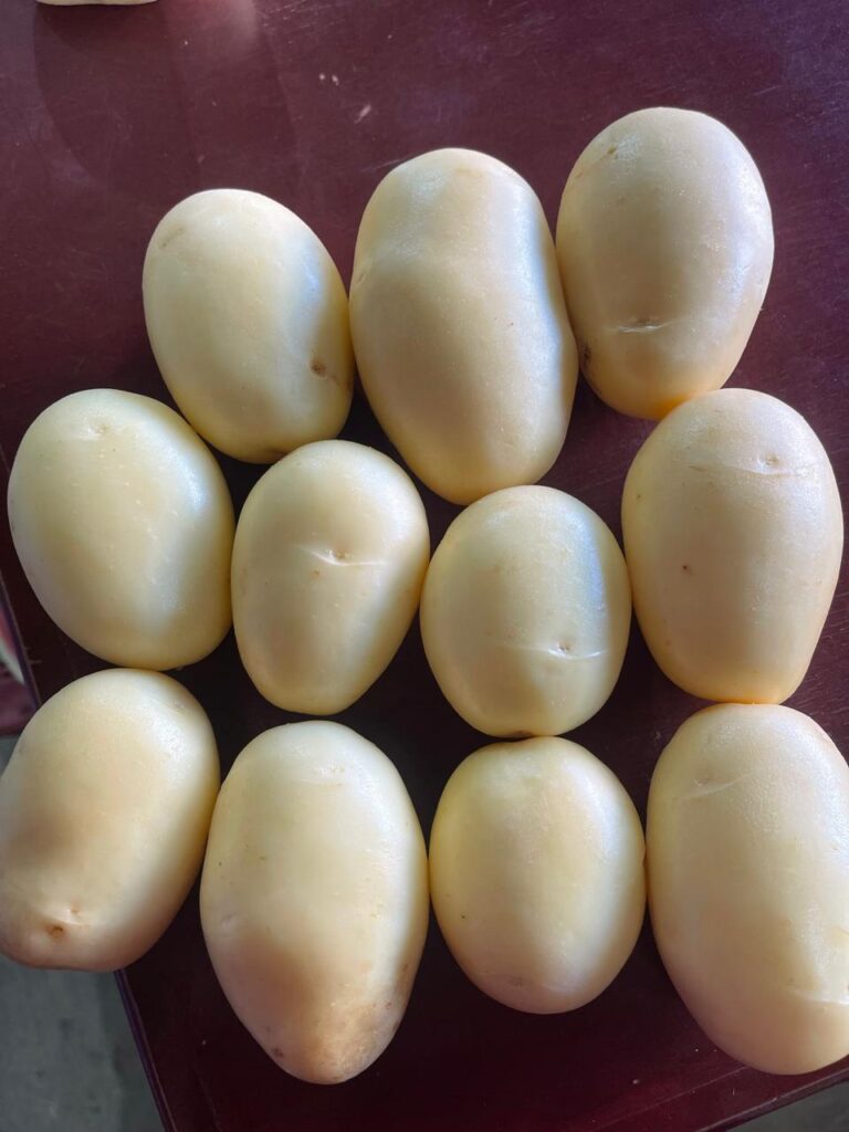 Papas Tamaño 3ra